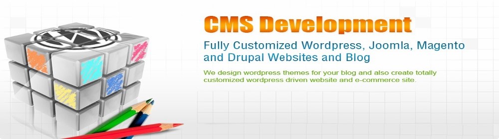 CMS Development Services in Delhi