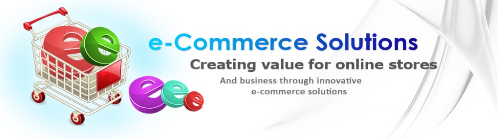 ECommerce Solution Provider in Delhi