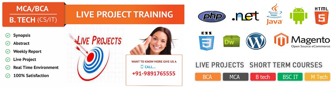 Live Project Training in Delhi