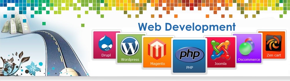 Best Website Development Company in Delhi